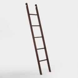 Espresso Augustus Bookshelf Ladder
