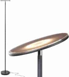 Torchiere Floor Lamp (1)