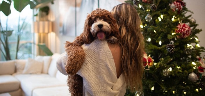 woman carrying dog beside christmas tree