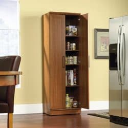 best traditional furniture - Sauder Homeplus Storage Cabinet