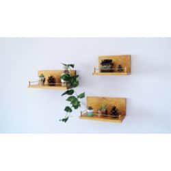 cheap modern furniture -  Indoor plant shelf