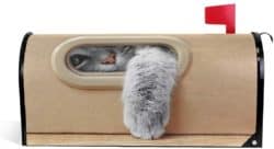 funny housewarming gifts - Funny Kitten Mailbox