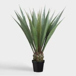 Indoor Succulent That Can Be Outdoor - Faux Agave Americana (1)