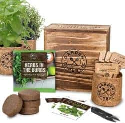 best practical housewarming gifts - Indoor Herb Garden Starter Kit