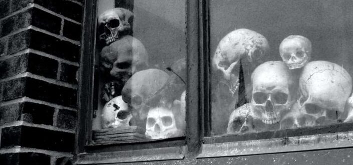 bunch of skulls in the window