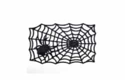 Rubber Spider Web Door Mat (1)