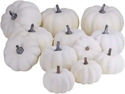 White Pumpkins