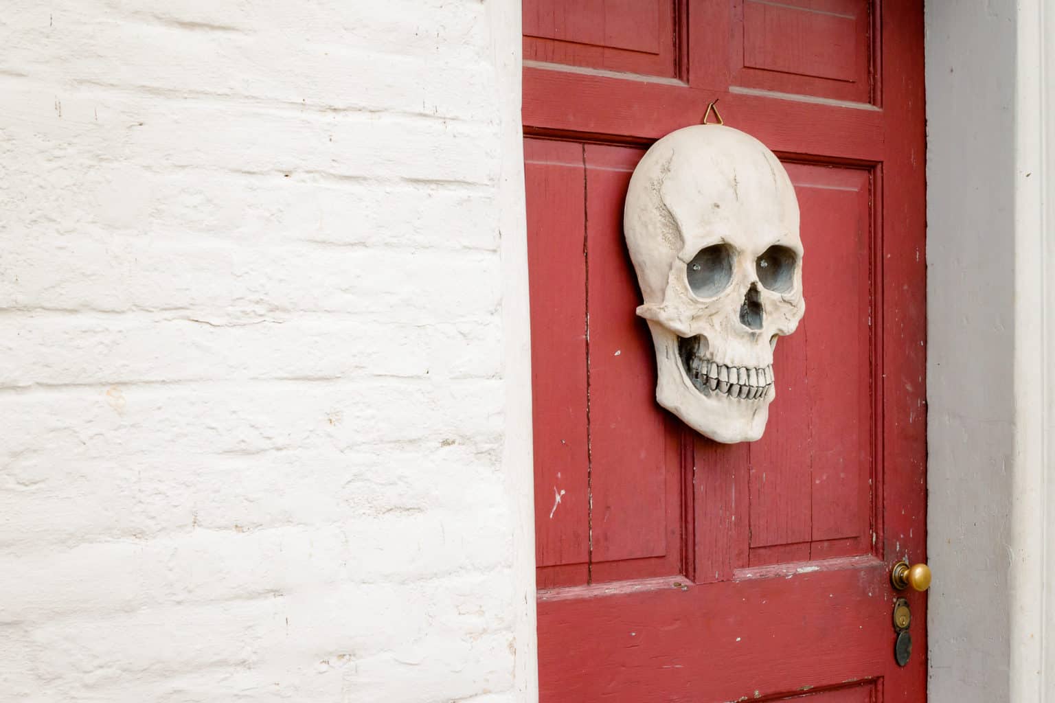 Skull displayed in front of a red door