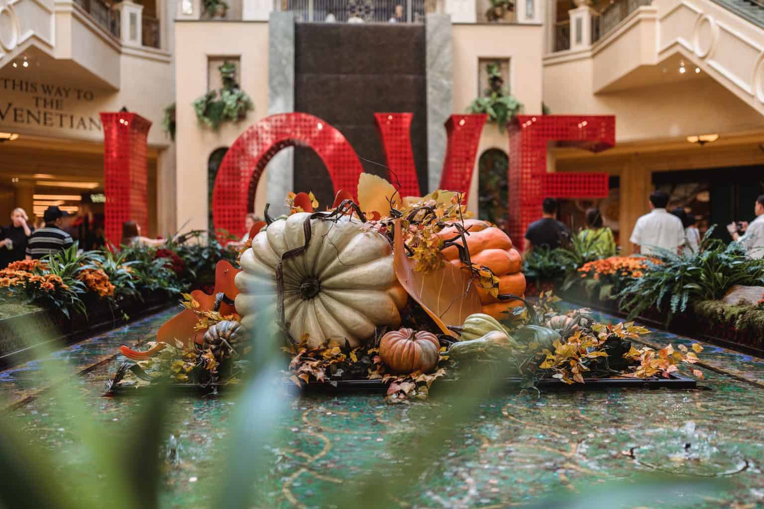 Gigantic pumpkins creatively displayed as ornament 