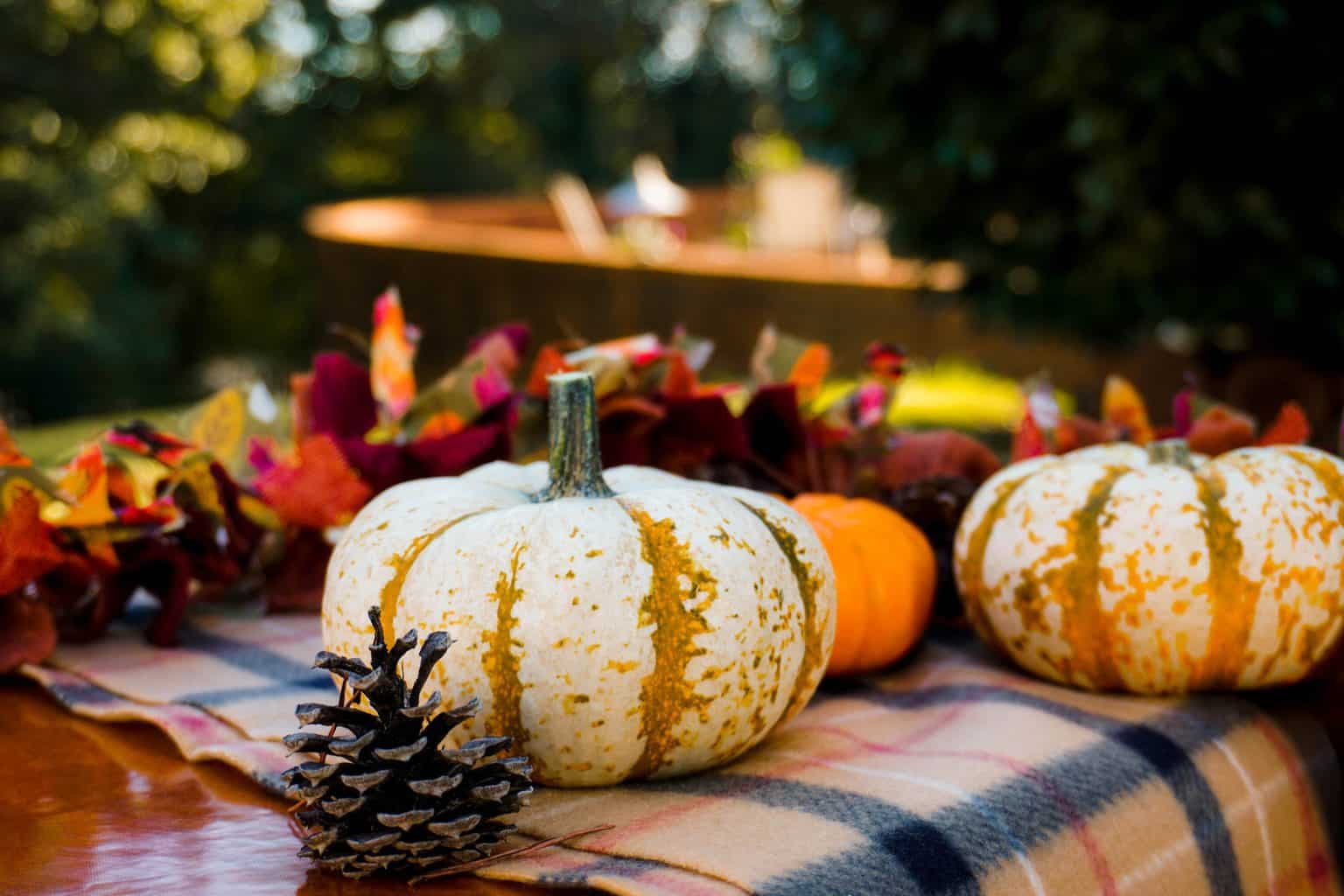 A table arranged with pumpkins and leaves as display on top