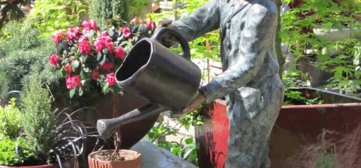 a man watering a plant
