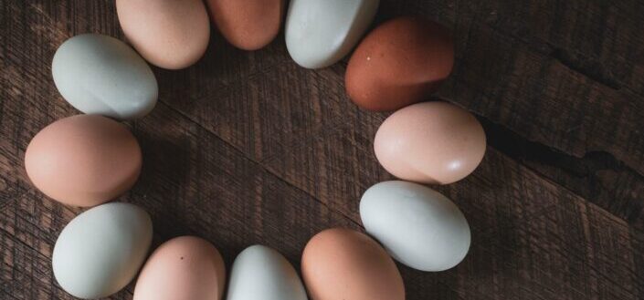 different color of eggs forming circle
