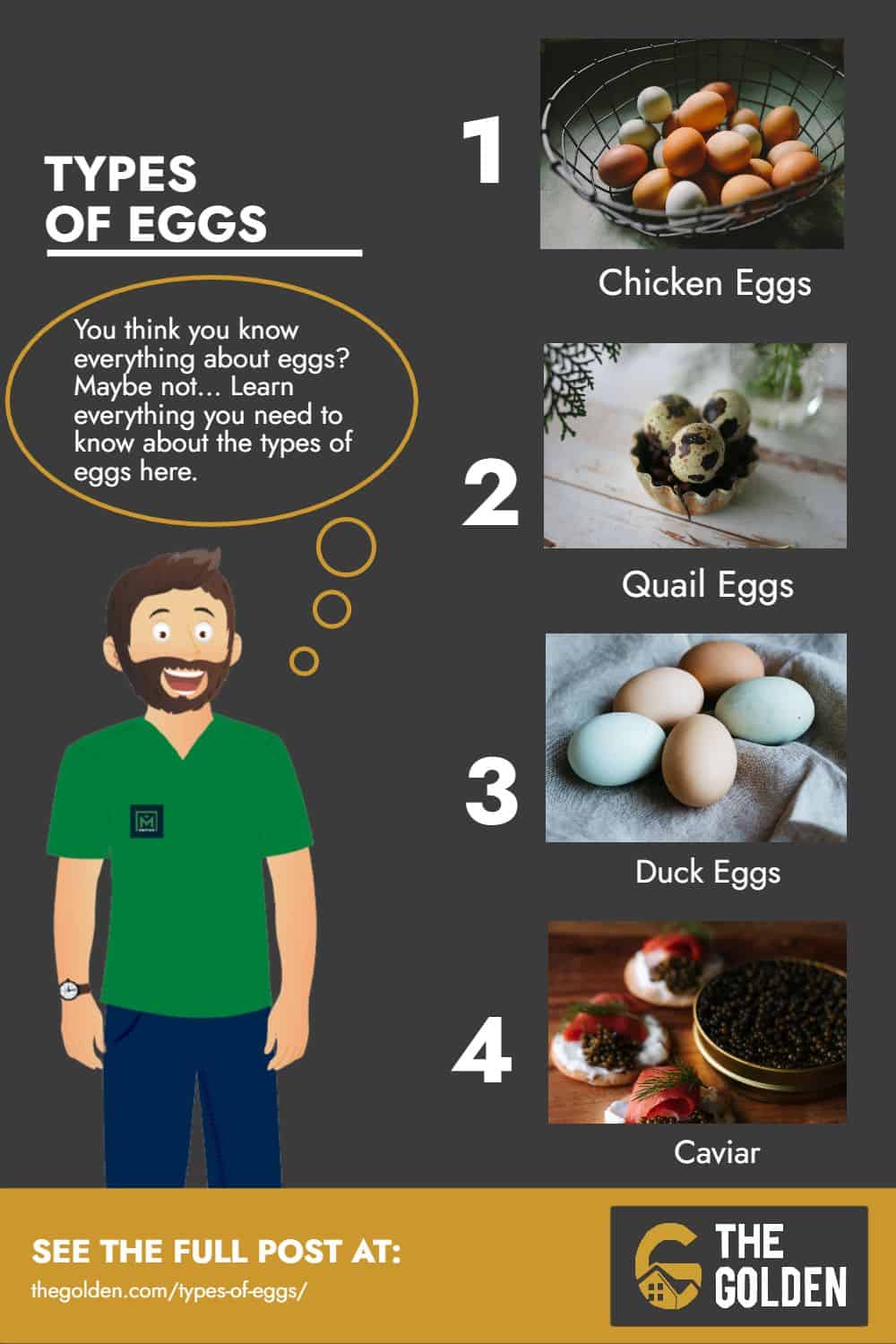 Types of Eggs - Infographics