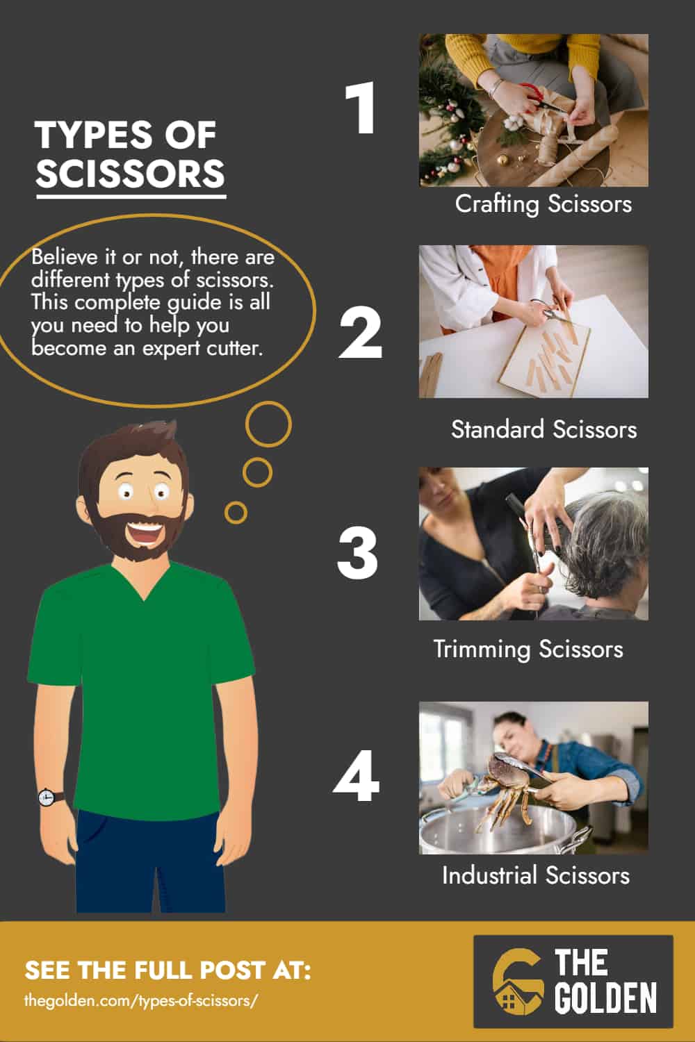 Infographic - Types of Scissors