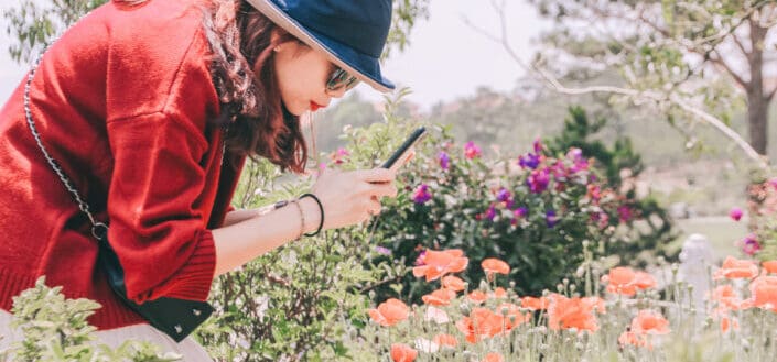 Girl taking a picture of flowers.