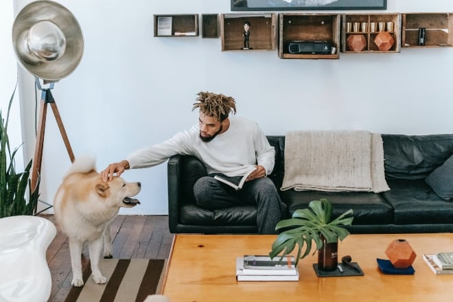 Traditional Home Decor - man sitting on couch while petting dog