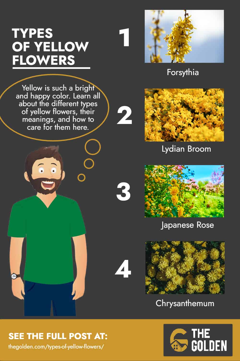 Types of Yellow Flowers - Infographic