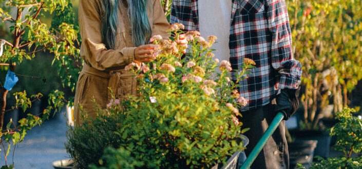 Couple looking at blooming flowers