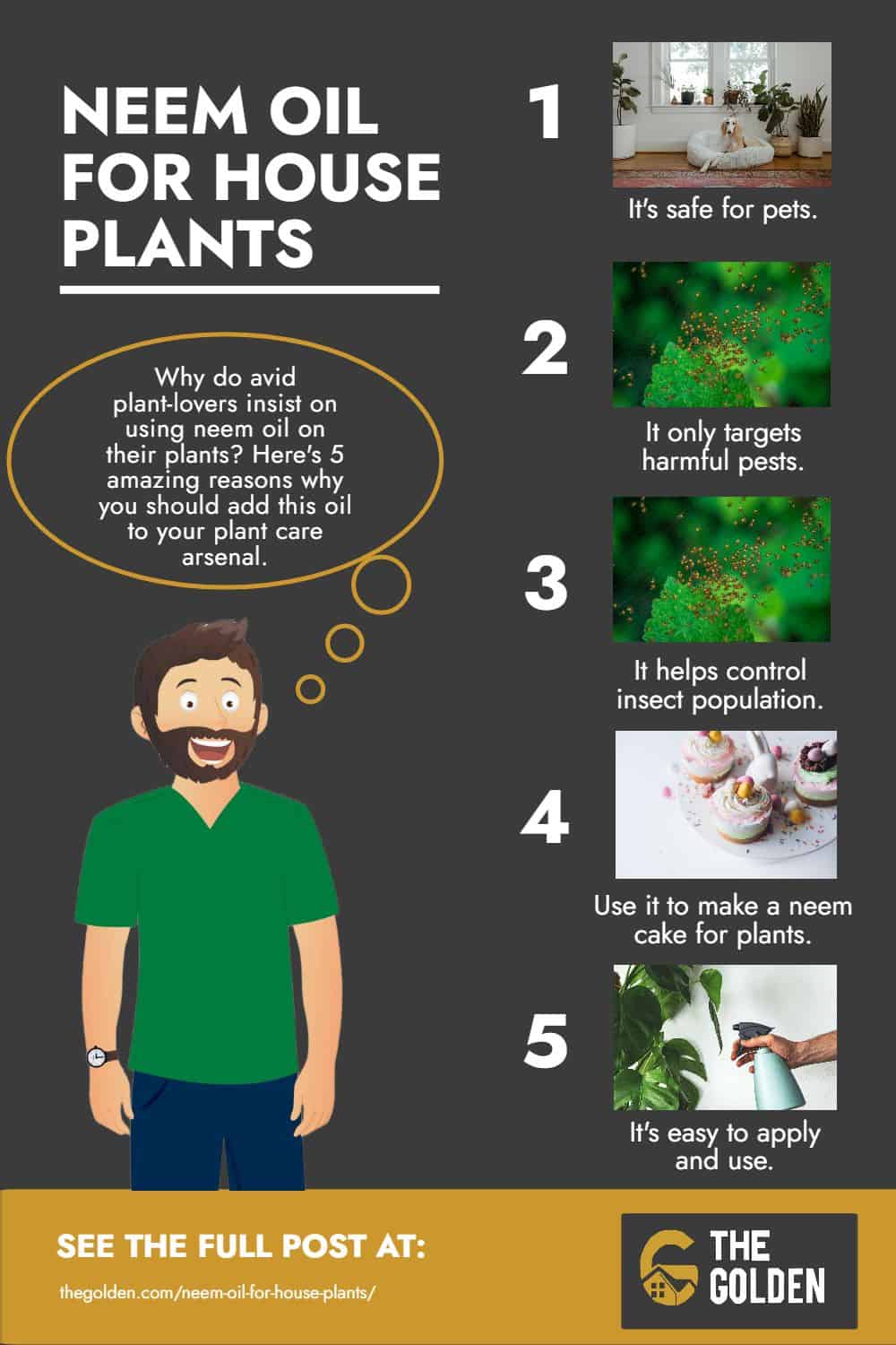 Neem Oil For House Plants - Infographic