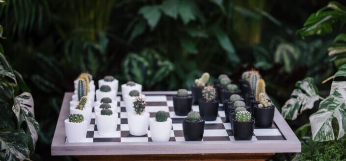 Cacti's as Chess Board Pieces Placed on Top of a Chess Board