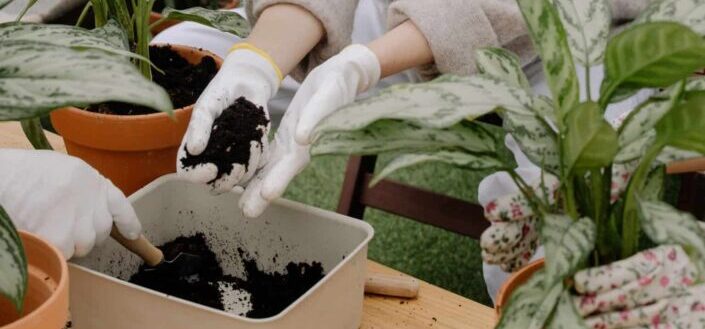 Gardeners Putting Soil in a Container