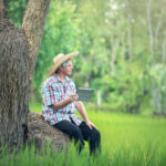 A man sitting in a gree field