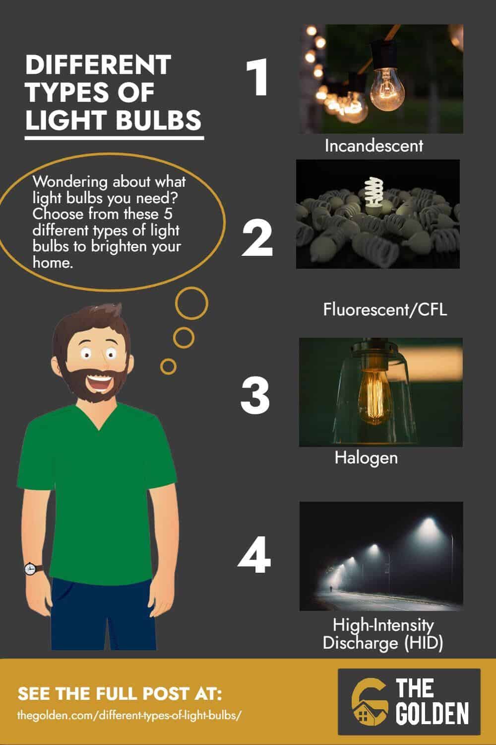 Different types of light bulbs - Infographic