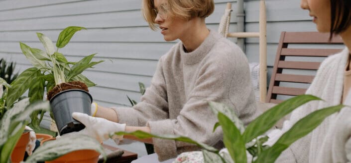 A Woman Repotting a Plant