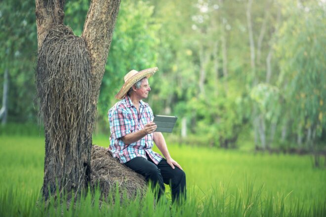 man resting on a rock under the tree - how to plant grass seed