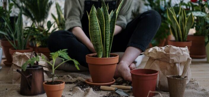 Person Sitting Near Potted Plants