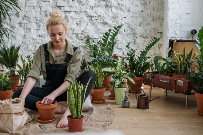  Woman Sitting on Brown Wooden Seat - how to know when to repot plants