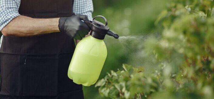 Person Spraying Water to His Garden