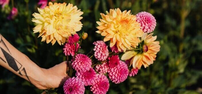 person holding yellow and pink flowers