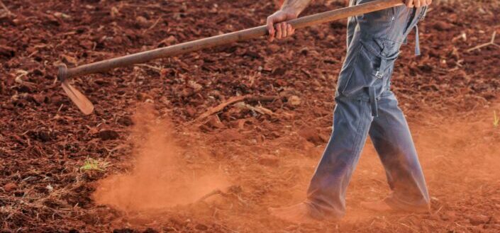 A Man Using a Hoe to Break Up the Soil
