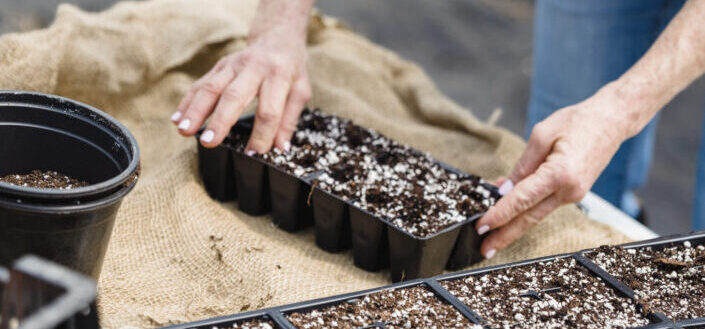 Gardener making soil blocks